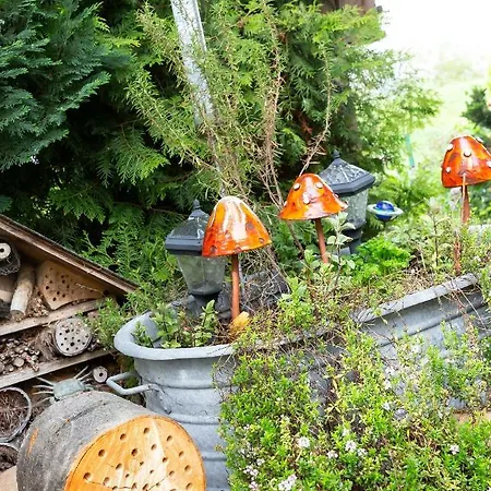 Althaus Άινμπεκ